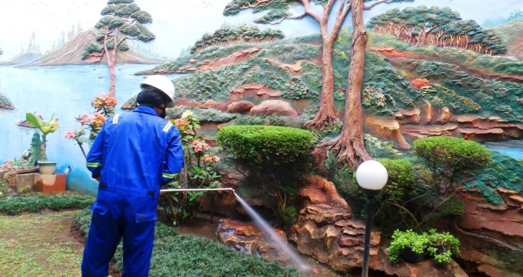 SAMSUNG CAMERA PICTURES