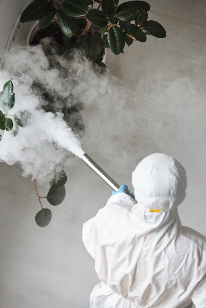 Person in protective gear fumigating an indoor plant, emitting smoke.